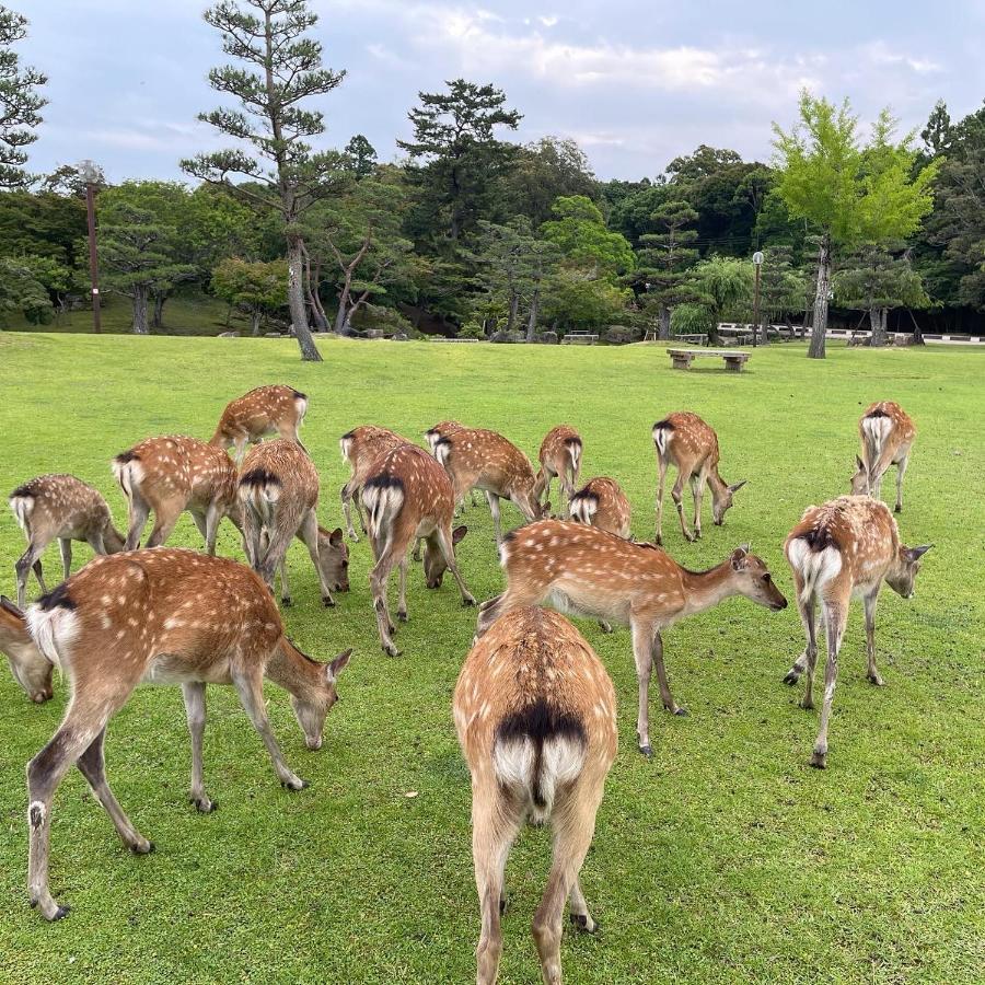 נארה Ryokan Kousen Kazeya Group מראה חיצוני תמונה